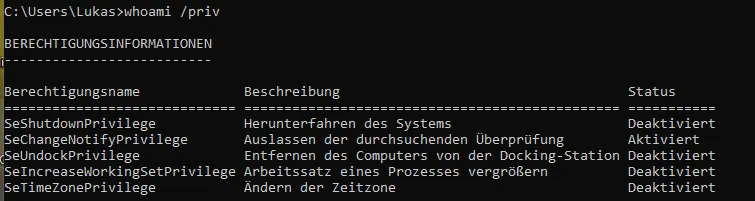 whoami /priv mit Standard-Benutzerrechten