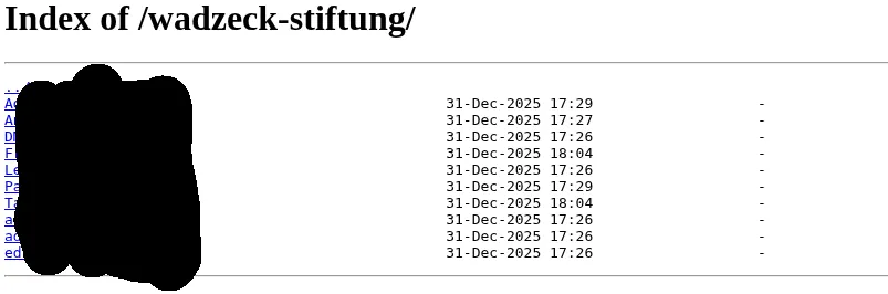 Veröffentlichte interne Unternehmensdaten