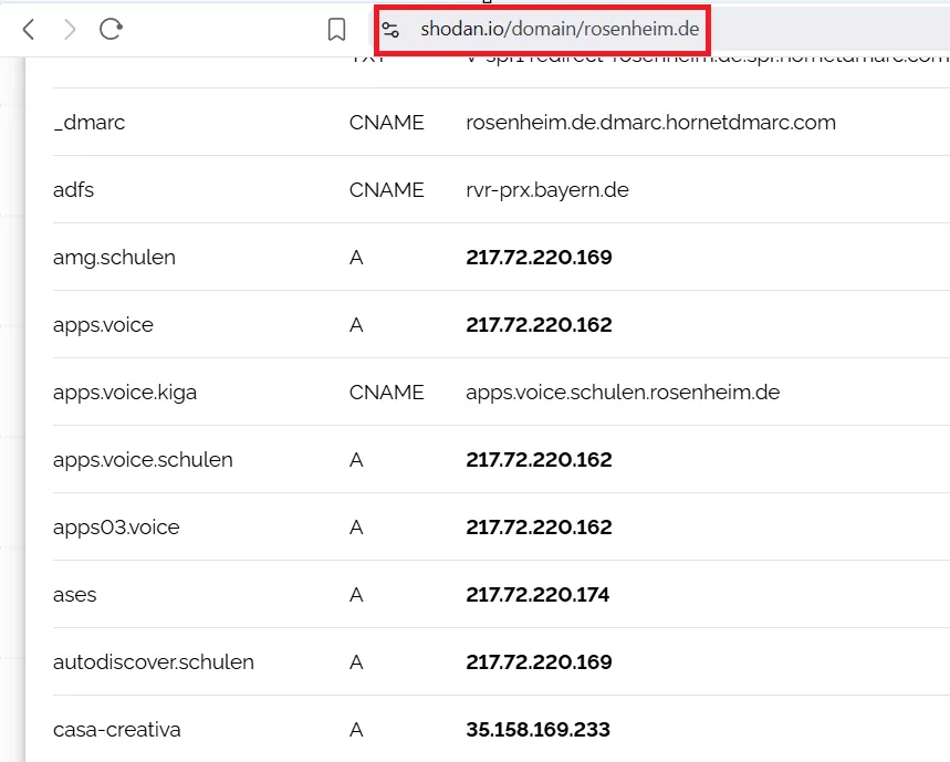Shodan-Übersicht der Subdomänen